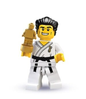 Karate Master (Series 2)