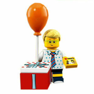Birthday Party Boy (Series 18 Party)
