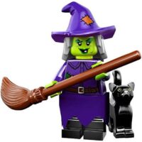 Wacky Witch (Series 14 Monsters)