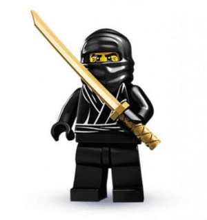 Ninja (Series 1)