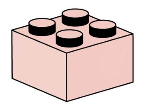 LEGO Bulk Bricks 2 x 2 Sand Red Bricks (10004-1)
