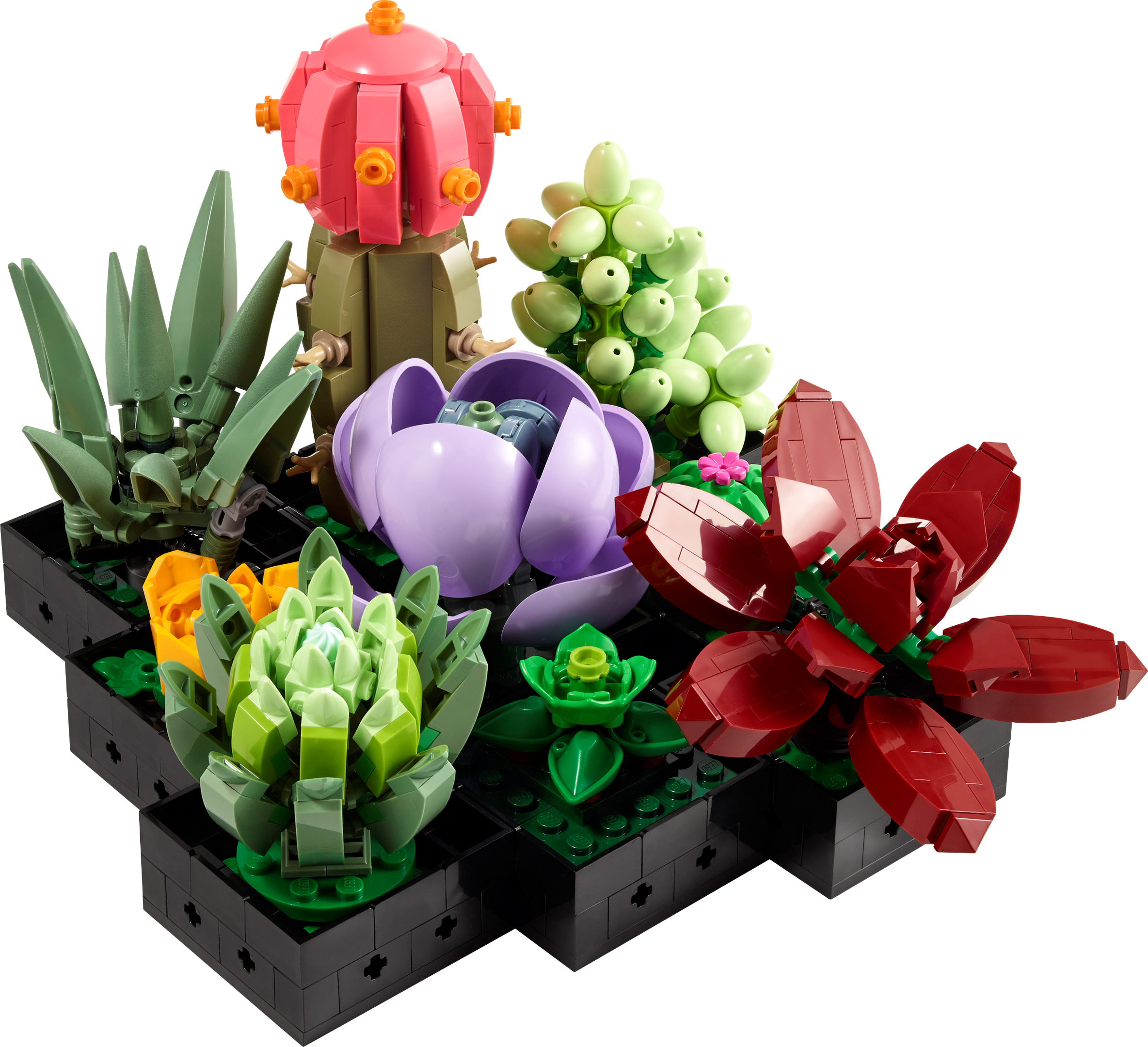 LEGO Botanicals Succulents (10309-1)