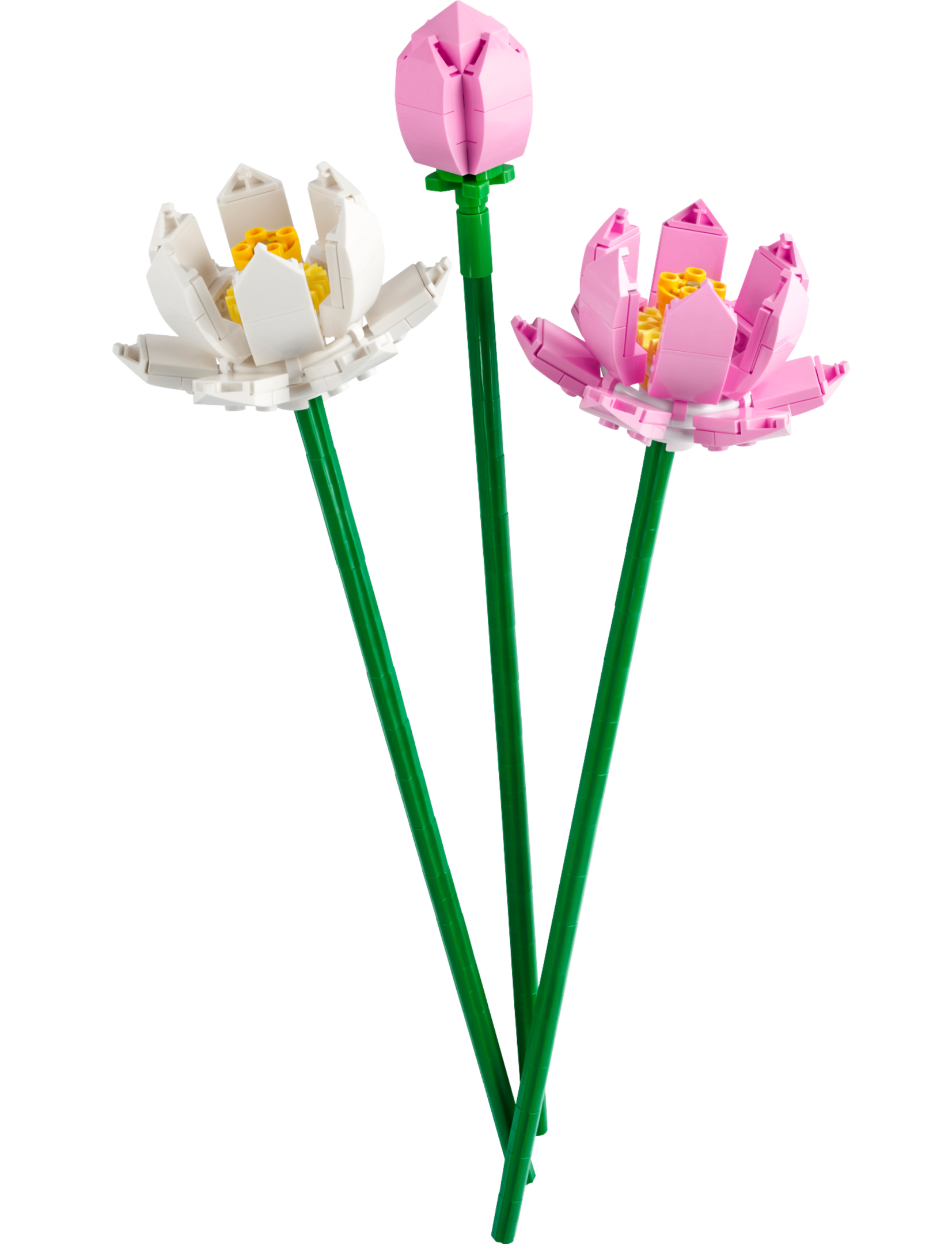 LEGO Other Lotus Flowers (40647-1)