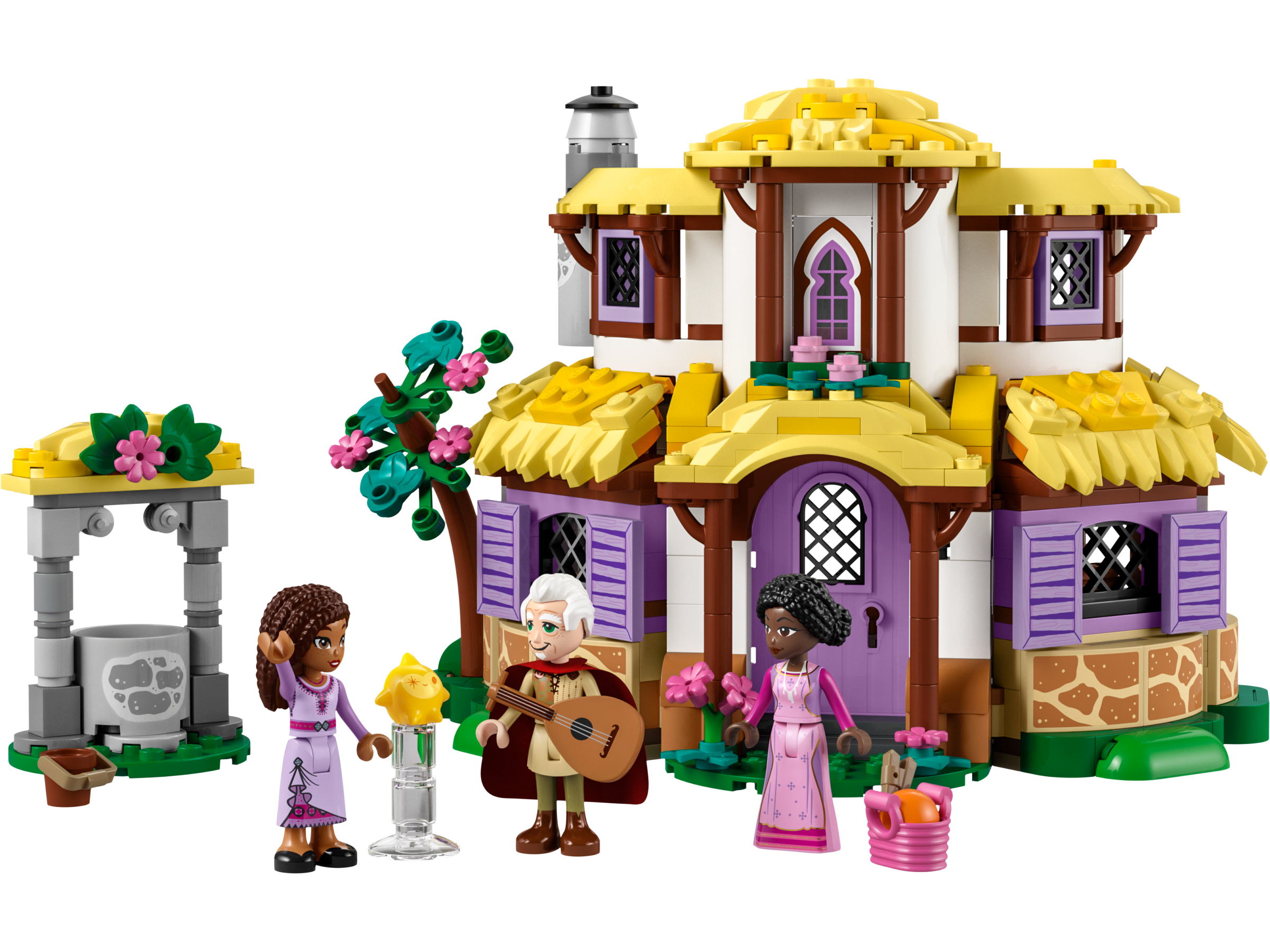LEGO Disney Asha's Cottage (43231-1)