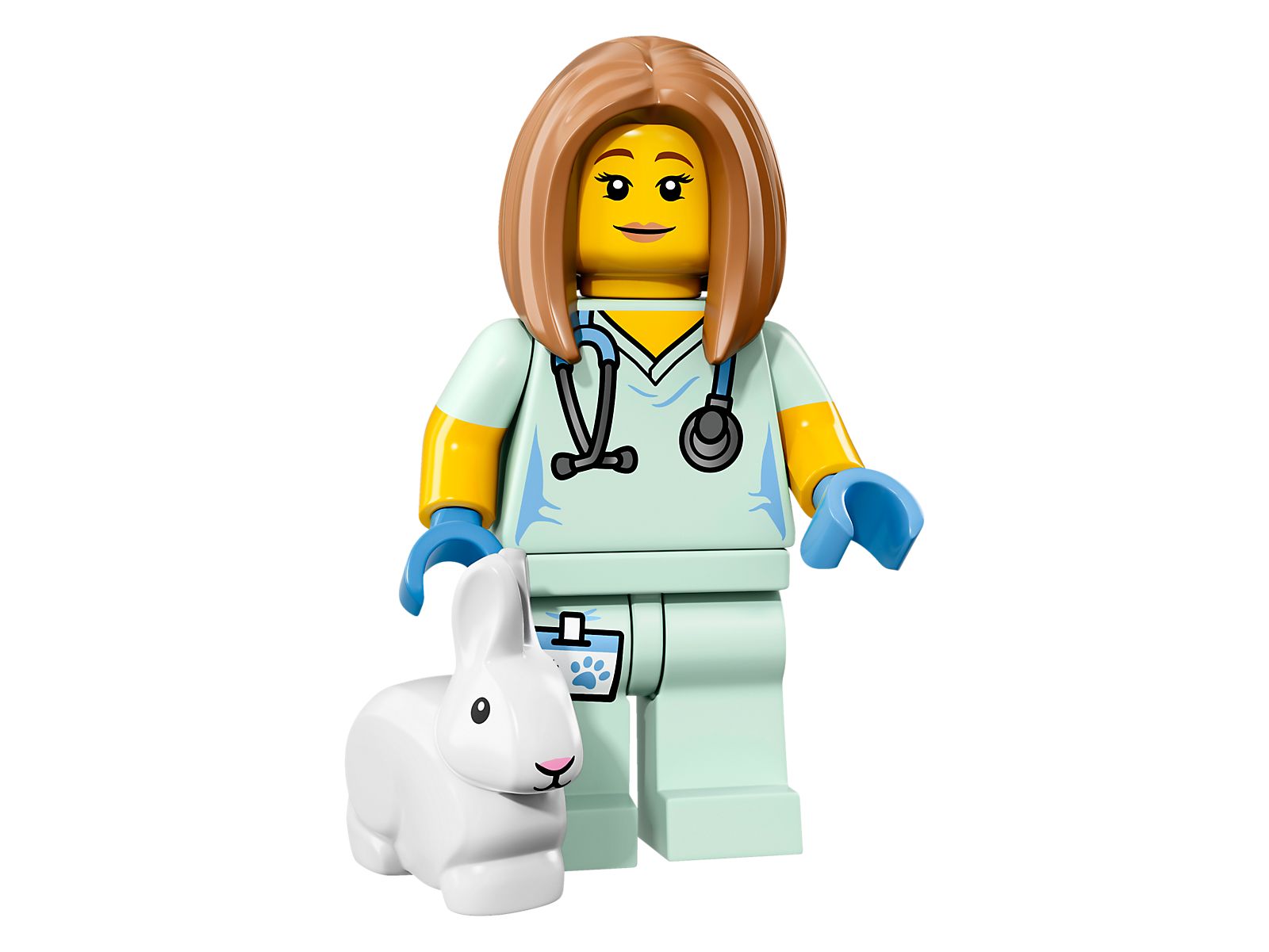 LEGO Series 17 Minifigures Veterinarian (71018-5)